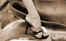 230x141-Glass-Slipper_small