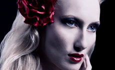 230x141-Romantic-Gothic_small